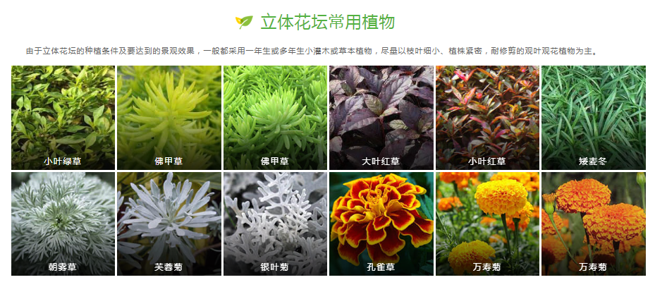 綠雕花壇一體化解決方案