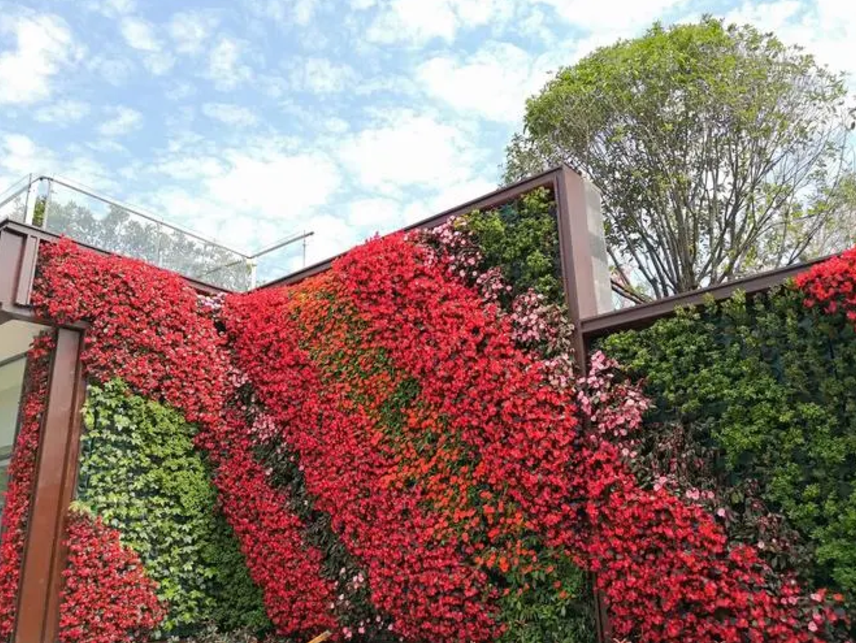 成都植物墻制作公司，尚瑞景成都東區(qū)音樂公園植物墻創(chuàng)意設(shè)計(jì)制作